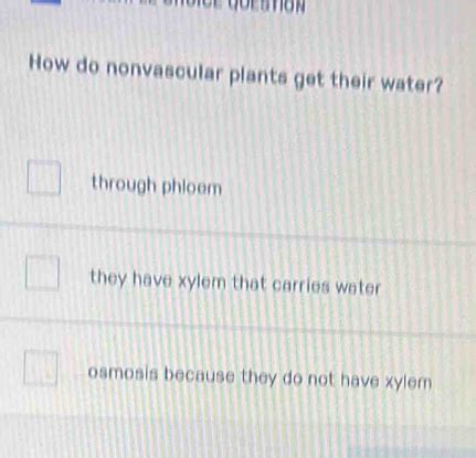 how do nonvascular plants get water.